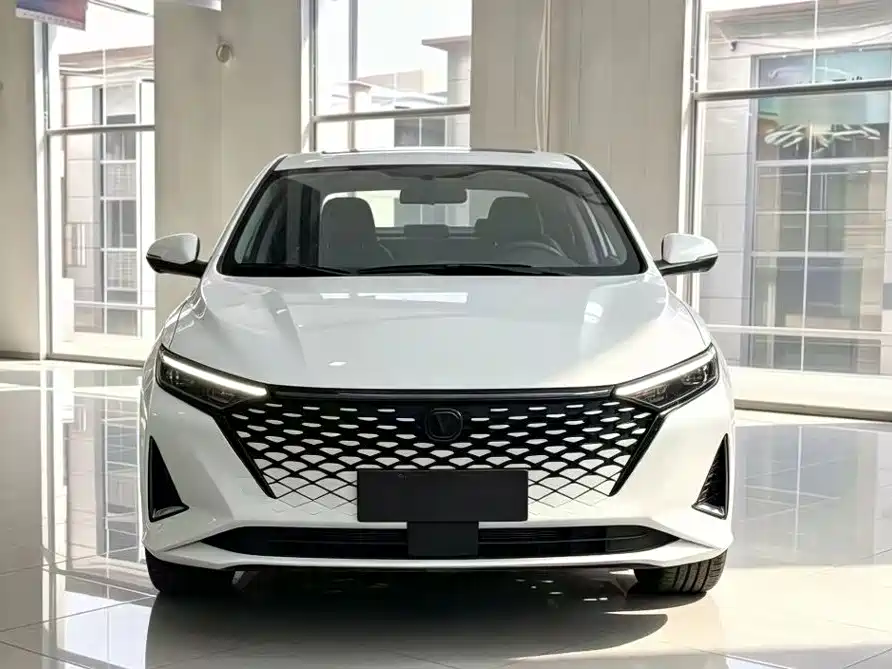 Changan Ruicheng PLUS — миниатюра 2