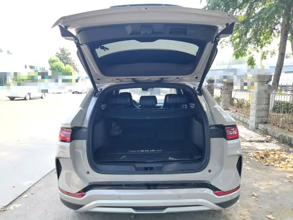 BYD PLUS New Energy — миниатюра 19