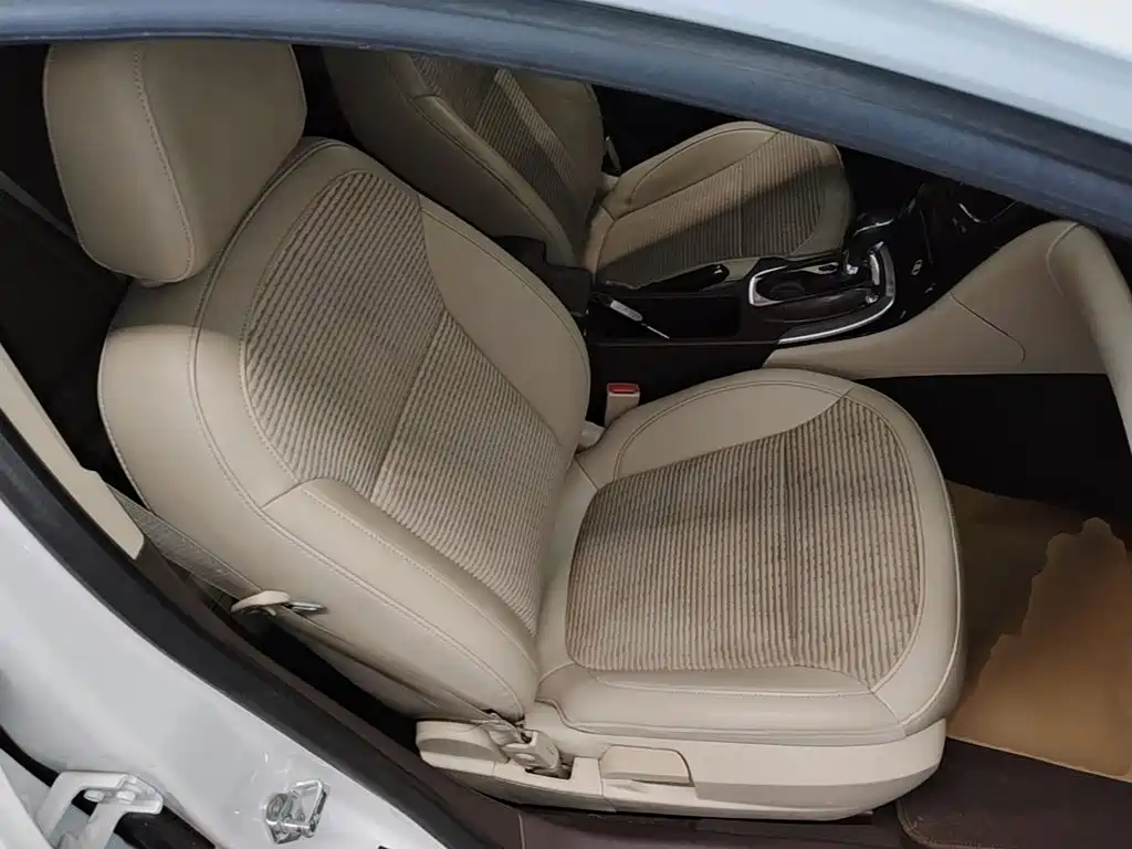 Buick Regal — миниатюра 25