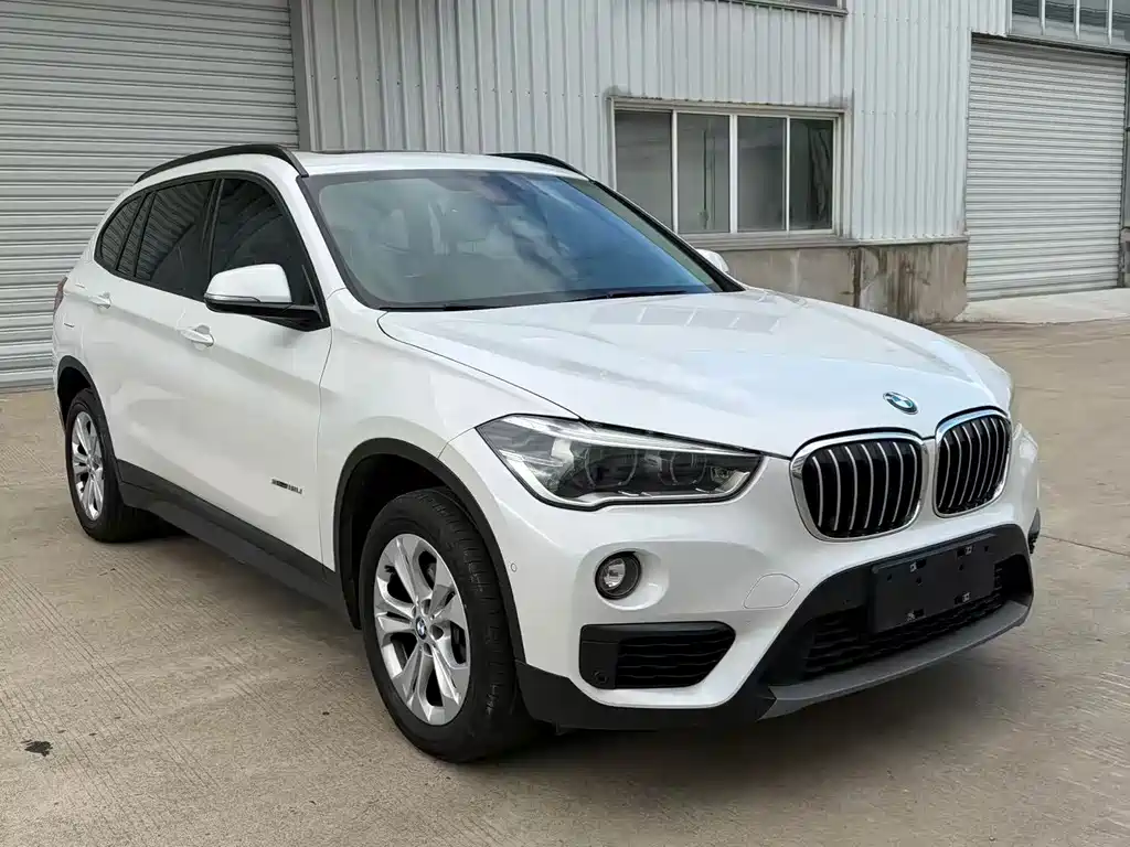 BMW X1 — миниатюра 2
