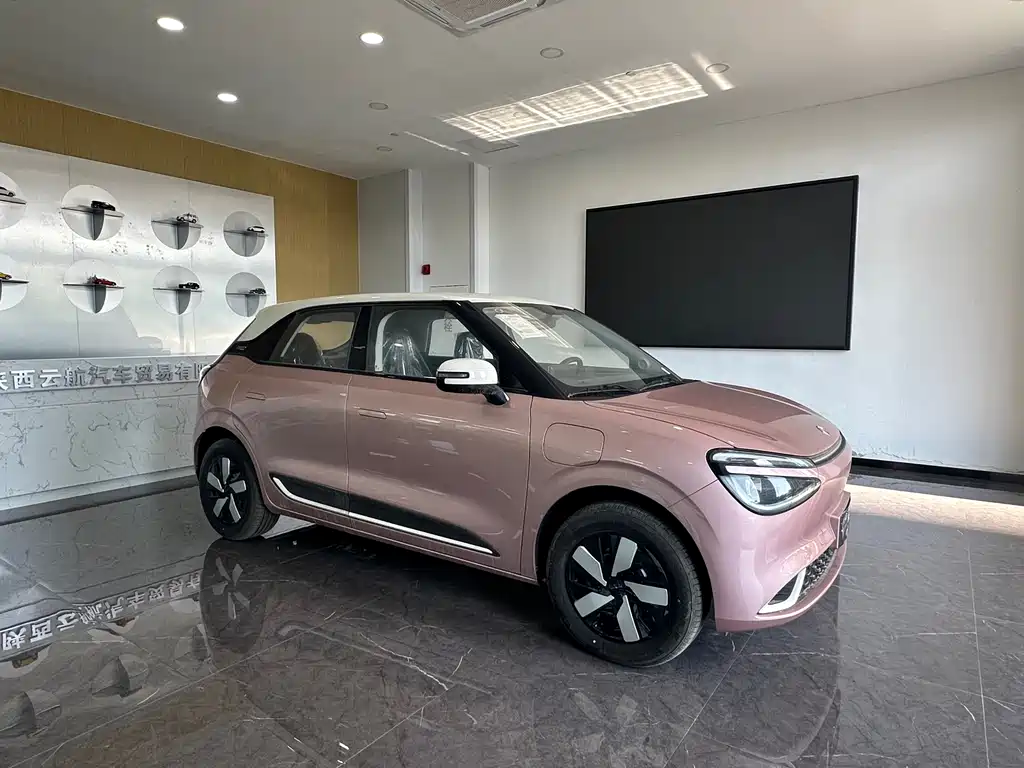 Dongfeng 01 2024 330 Plus +
