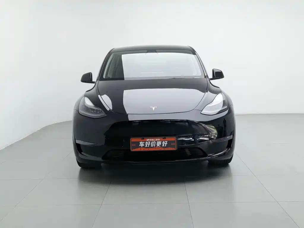 Tesla Model Y — миниатюра 3
