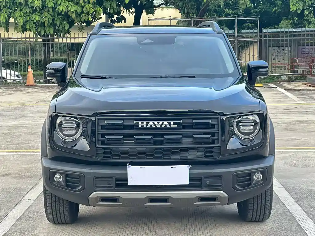 Haval Big Dog — миниатюра 2