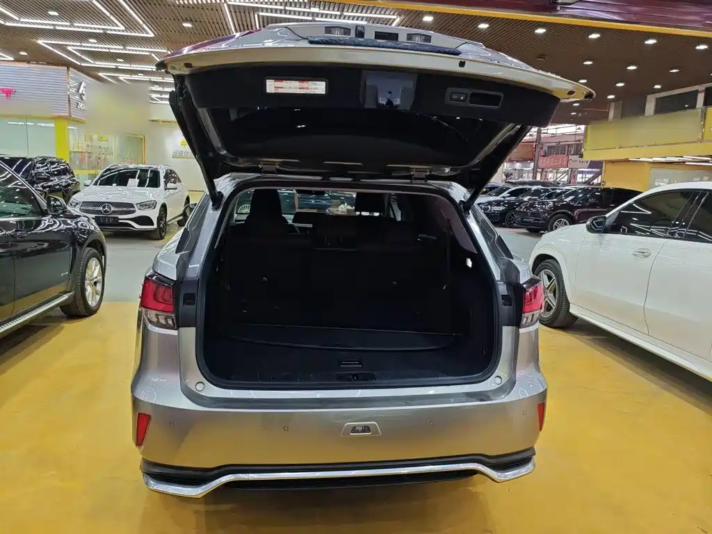 Lexus RX 2020 450hL Elegant 7 мест VI