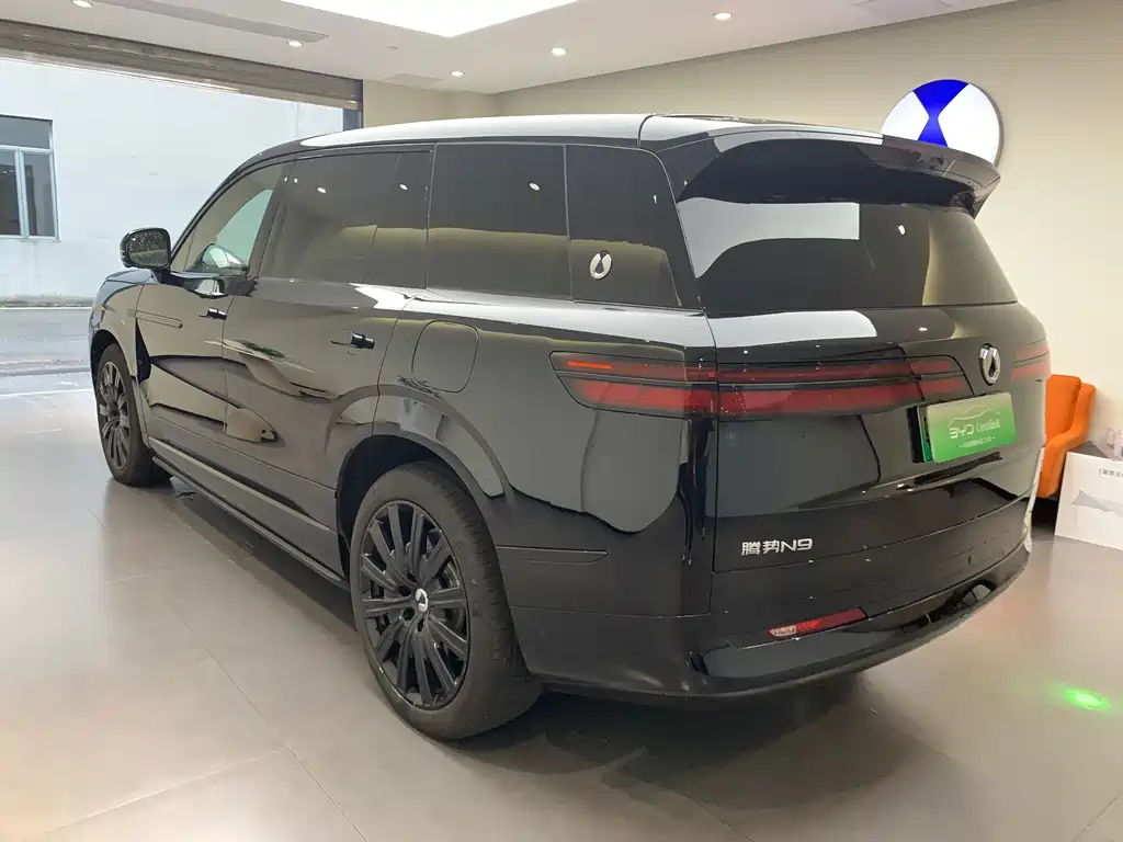 Denza N9 2025 Flagship