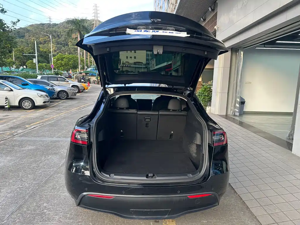 Tesla Model Y — миниатюра 16