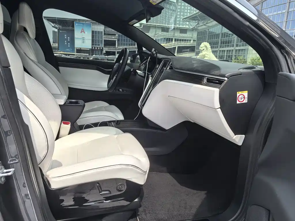 Tesla Model X — миниатюра 10