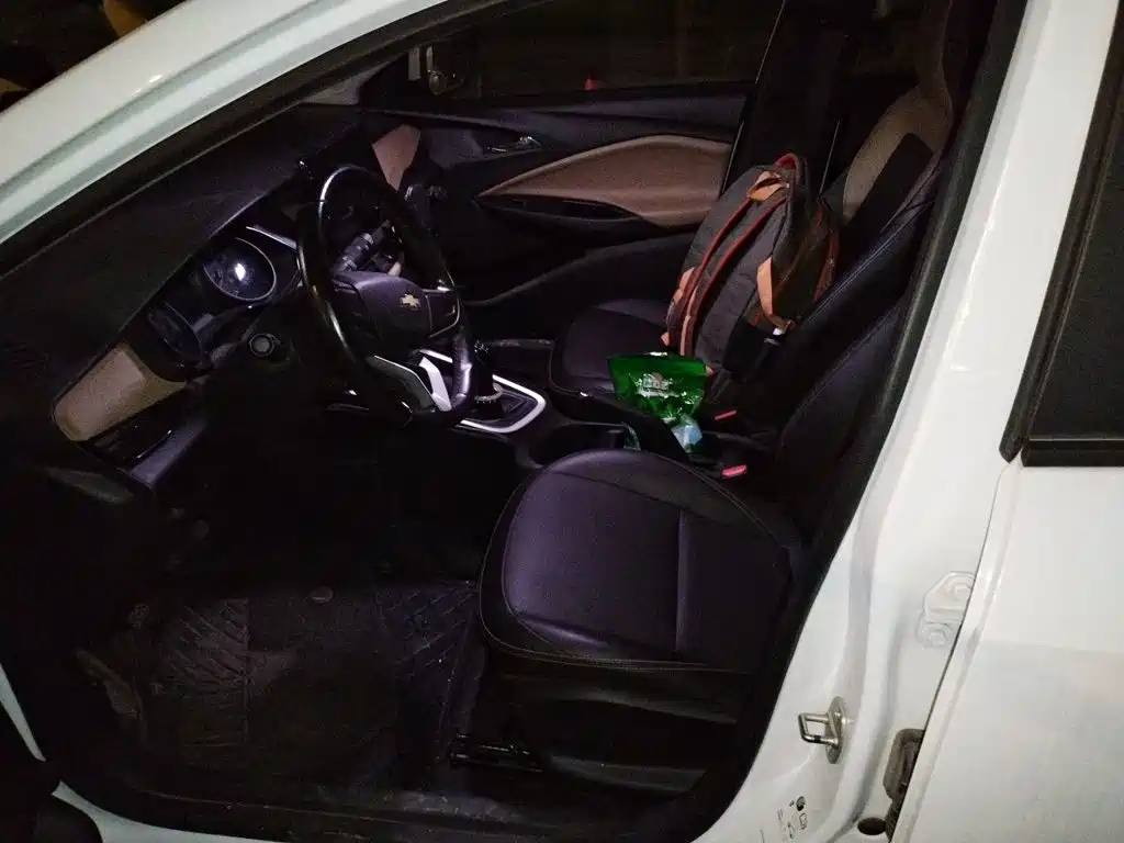 Chevrolet Cavalier — миниатюра 11