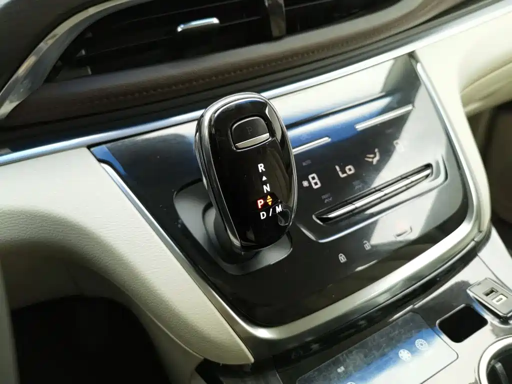 Buick GL8 — миниатюра 13