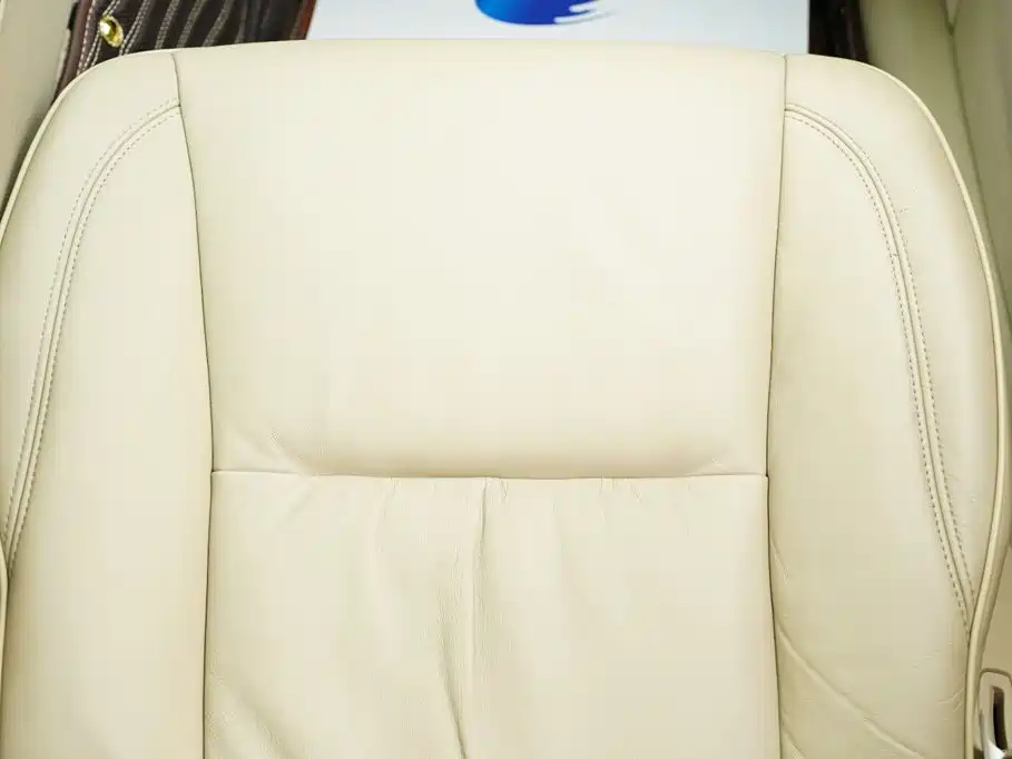 Hongqi Hongqi Shengshi — миниатюра 21