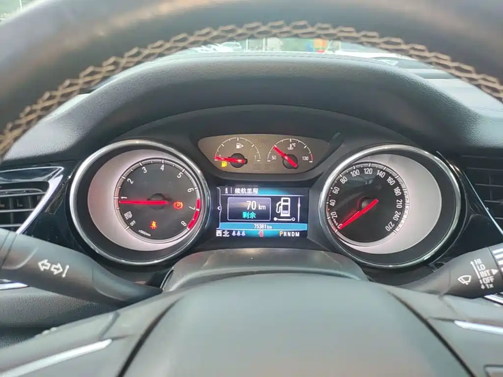 Buick Regal — миниатюра 12