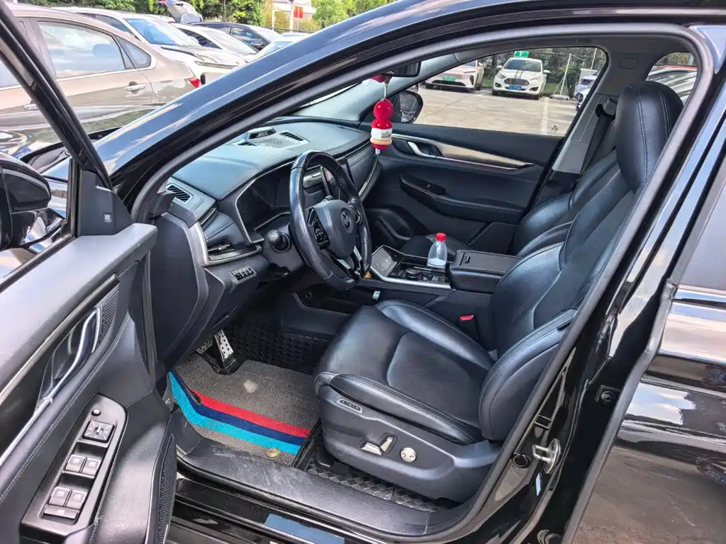 WM Motor EX6 — миниатюра 9