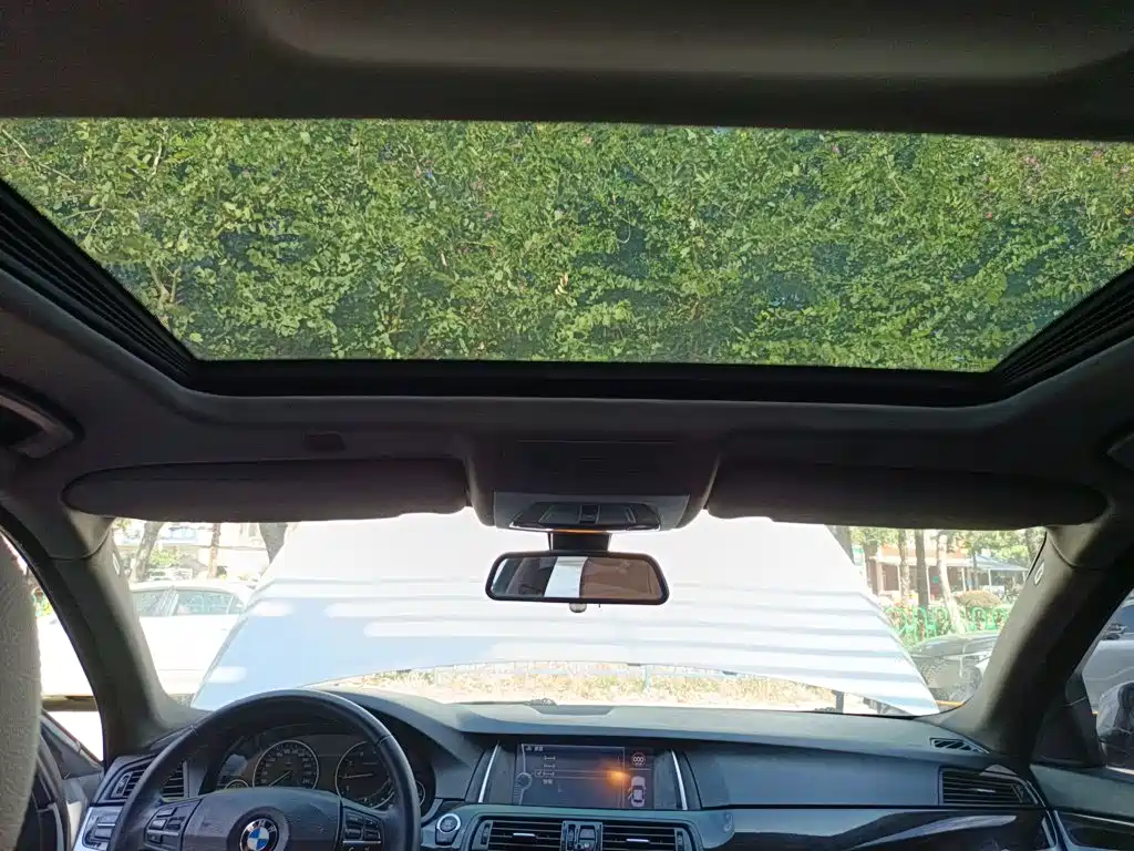 BMW 5 Series 5 2014 525Li Lead