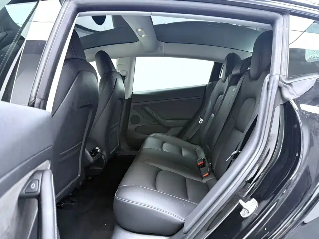 Tesla Model 3 — миниатюра 6