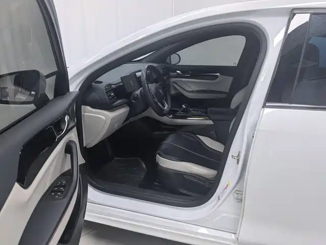 BYD Qin Plus PLUS 2023 Champion DM-i 55KM Lead