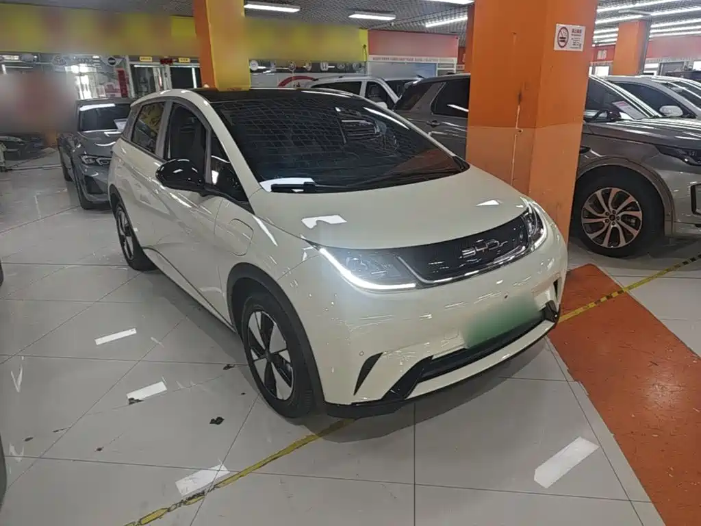 BYD Dolphin — миниатюра 4