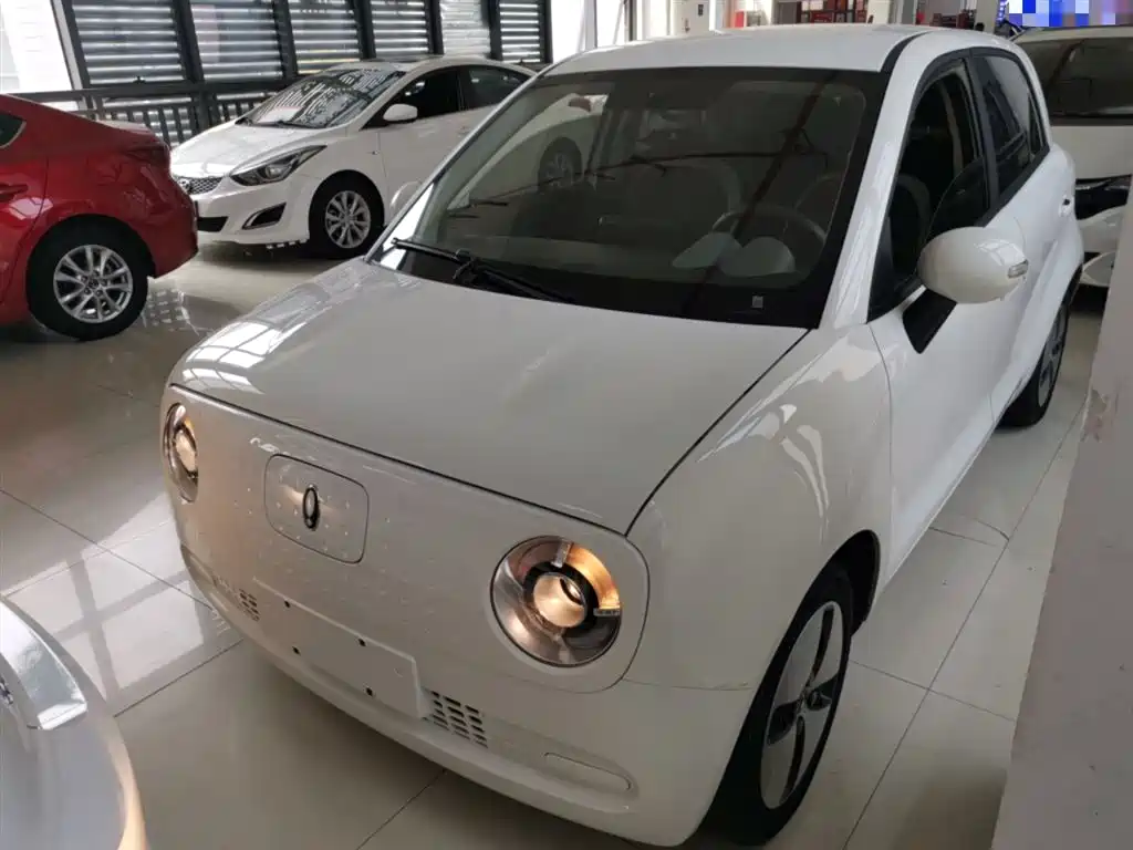 Ora Ora Black Cat 2022