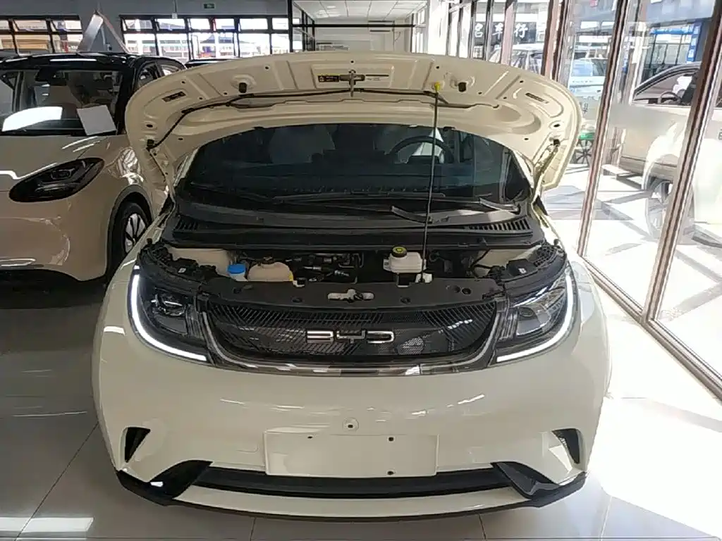 BYD Dolphin — миниатюра 20