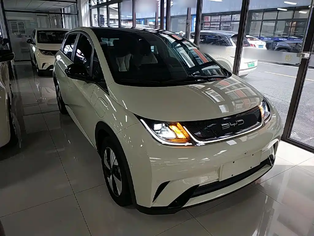 BYD Dolphin — миниатюра 4