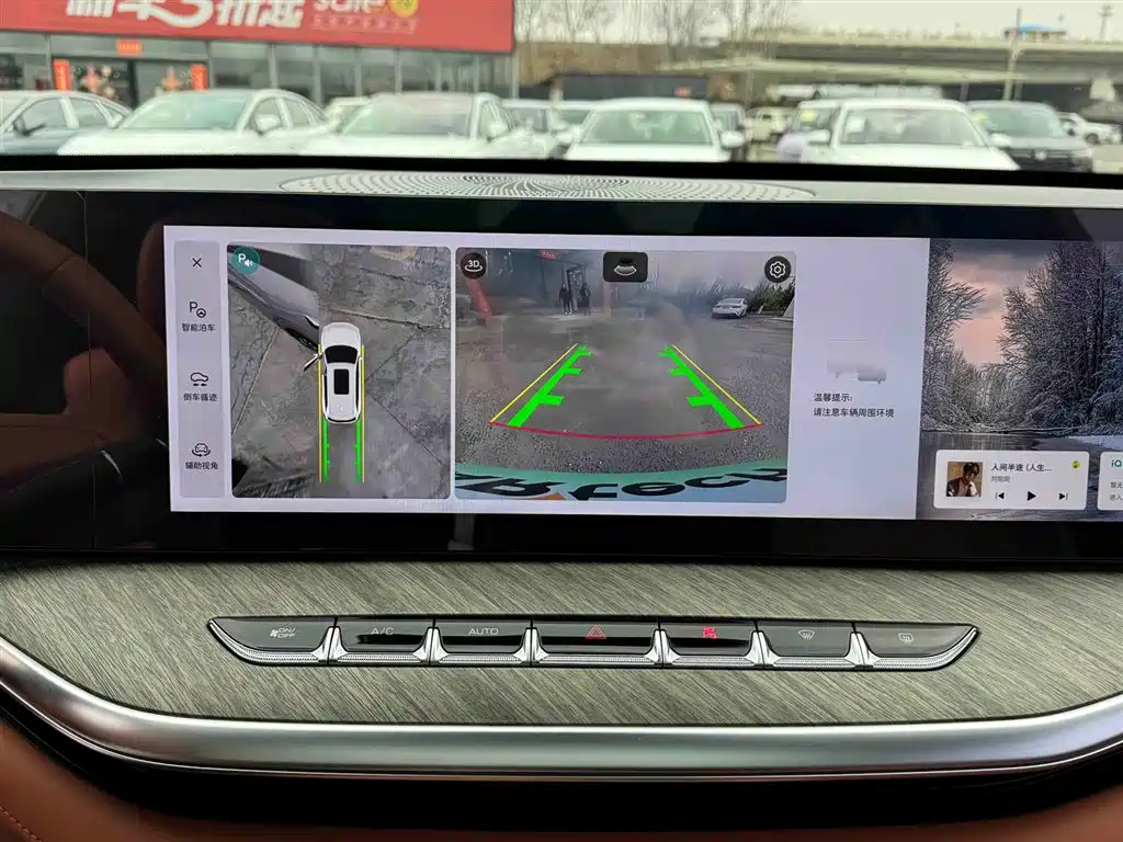 WEI PAI WEI BRAND BLUE MOUNTAIN