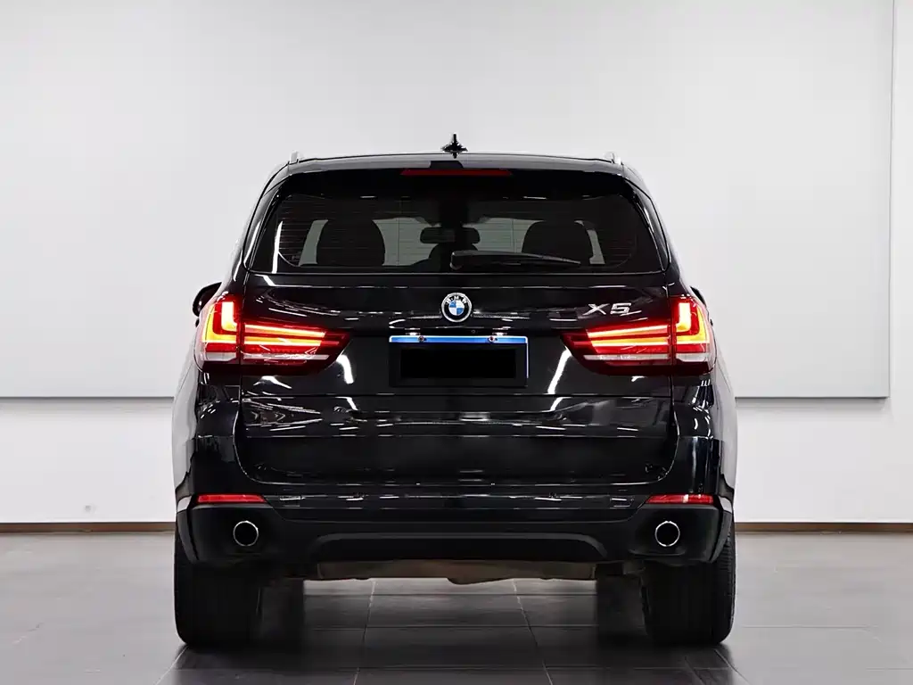 BMW X5 (Import) — миниатюра 5