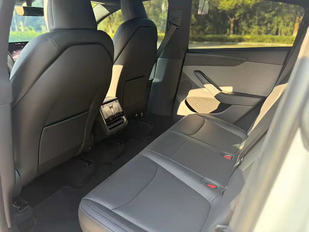 Tesla Model Y — миниатюра 7