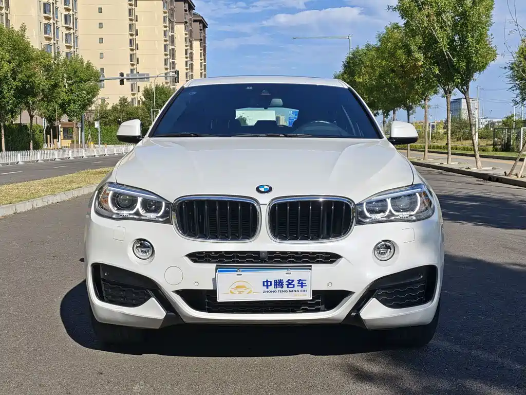 BMW X6 — миниатюра 2