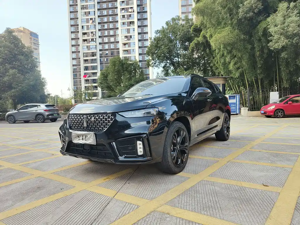 WEI PAI WEI BRAND VV7