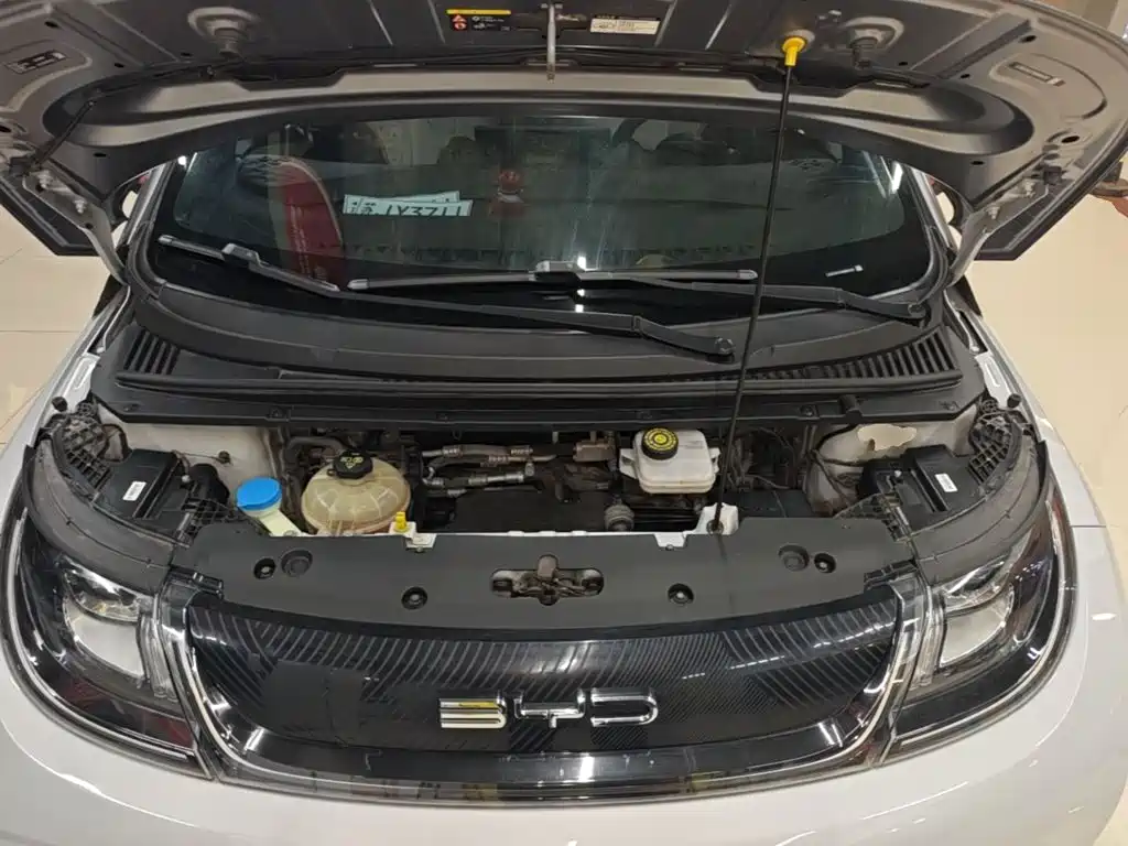 BYD Dolphin — миниатюра 20
