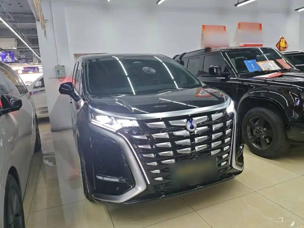 Denza Denza D9 — миниатюра 4