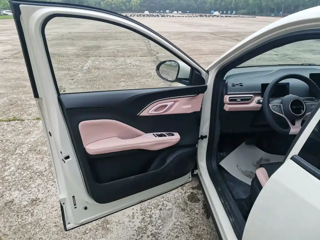 BYD Seagull 2025 305km