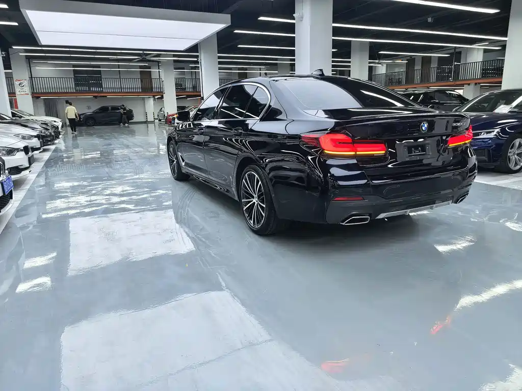 BMW 5 Series — миниатюра 17