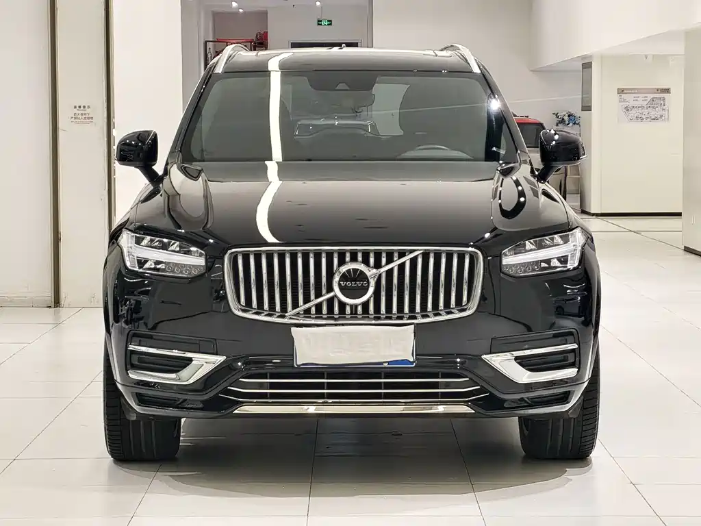 Volvo XC90 — миниатюра 3