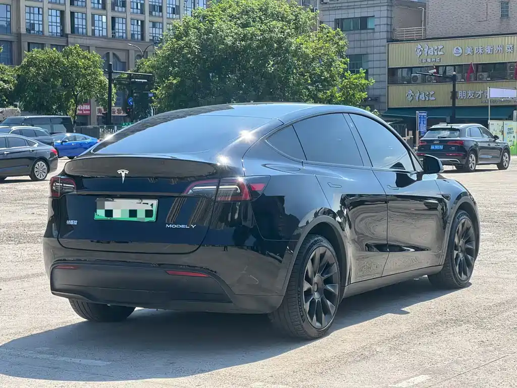 Tesla Model Y — миниатюра 9