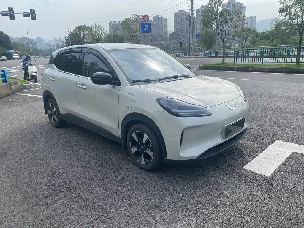 Wuling BinguoPLUS PLUS 2024 330km мест