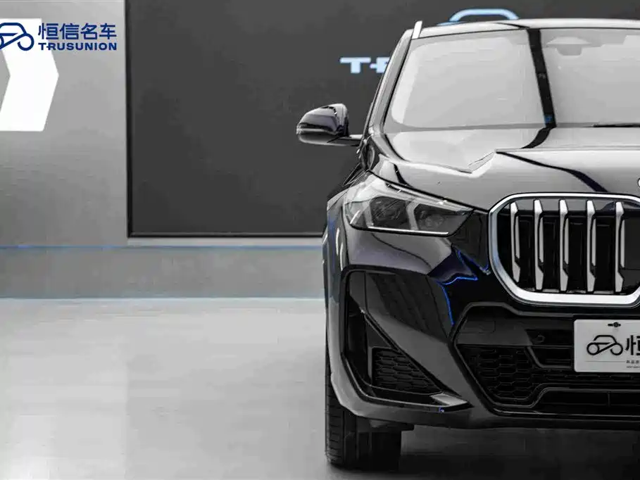 BMW X1 — миниатюра 8