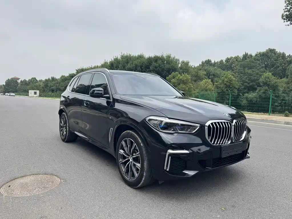 BMW X5 — миниатюра 3