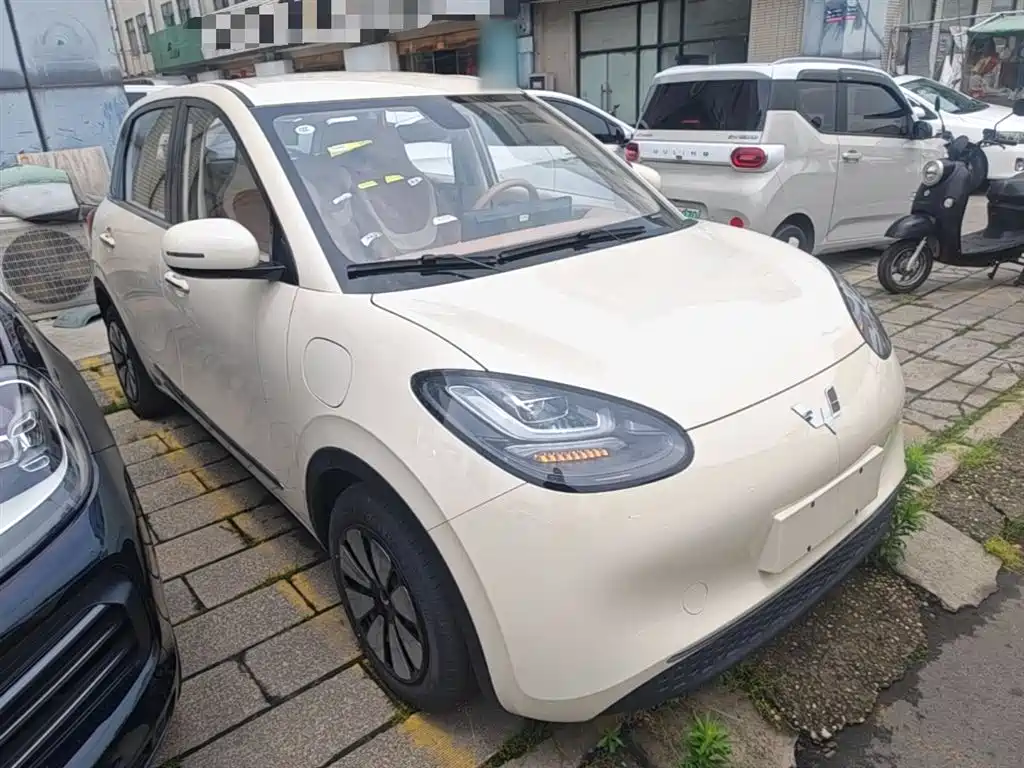 Wuling Binguo 2025 333km Enjoy
