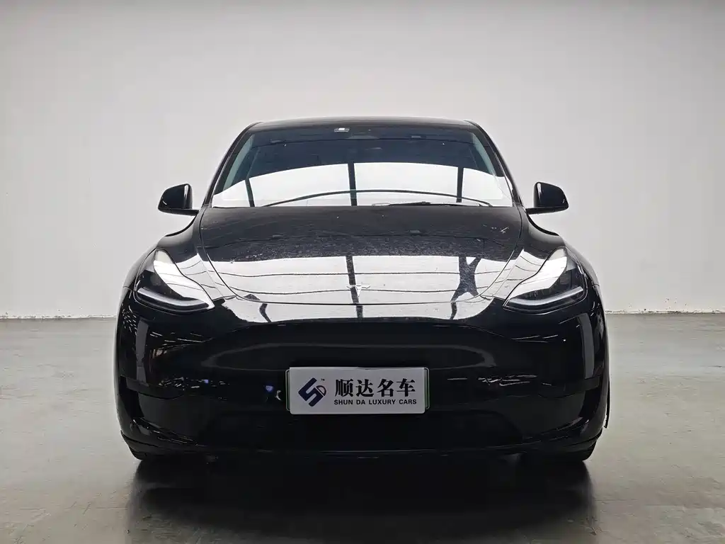 Tesla Model Y — миниатюра 2