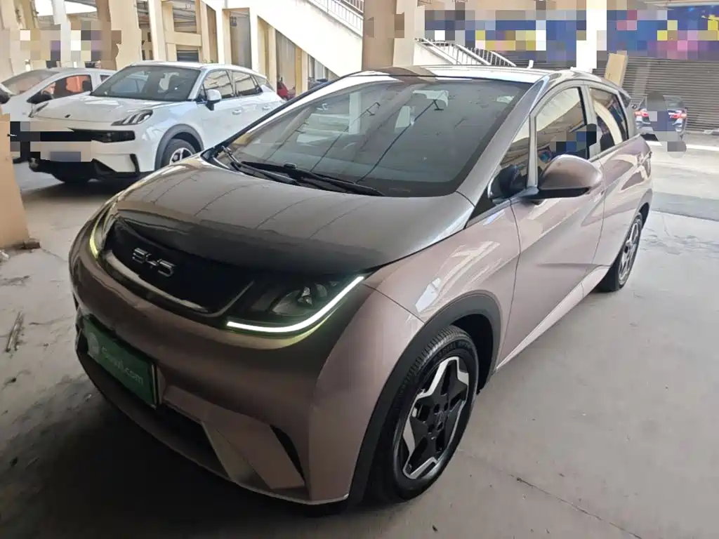BYD Dolphin