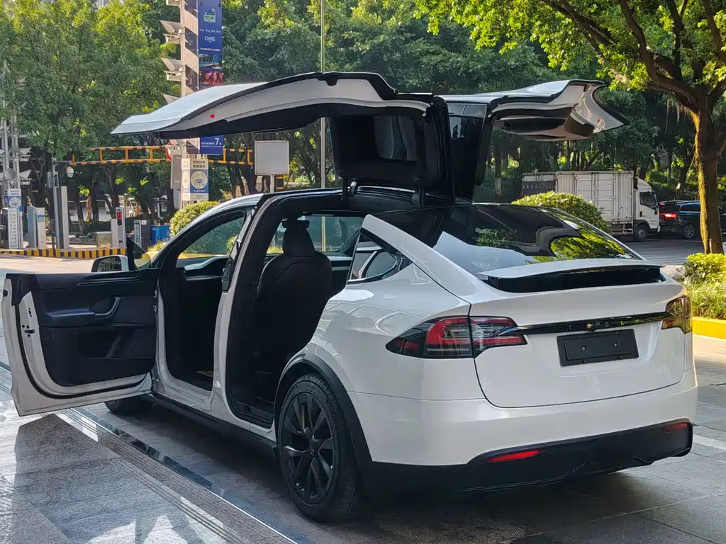 Tesla Model X — миниатюра 3