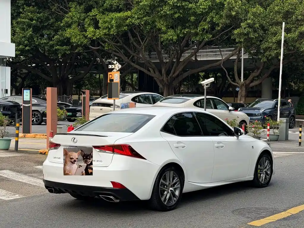 Lexus IS — миниатюра 12