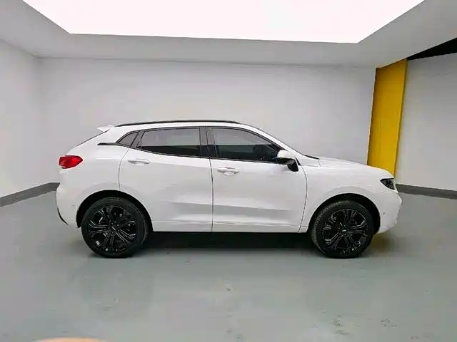 WEI PAI WEI BRAND VV5