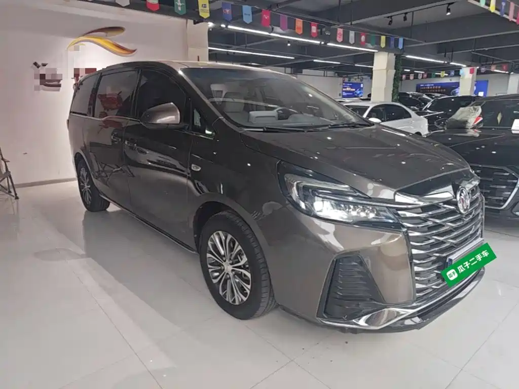 Buick GL8 — миниатюра 4