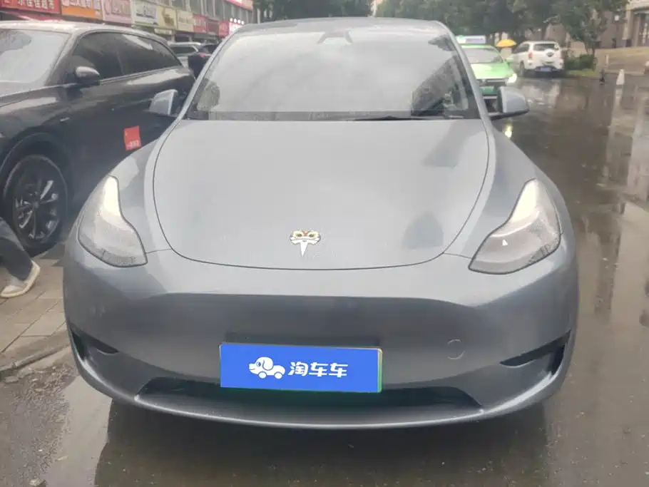 Tesla Model Y — миниатюра 2