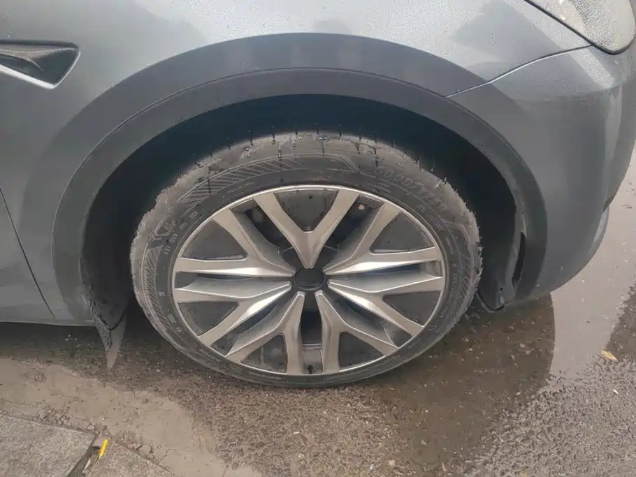 Tesla Model Y — миниатюра 5