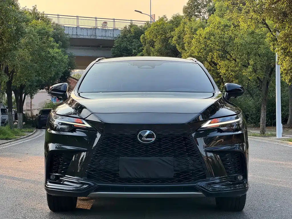 Lexus RX — миниатюра 2