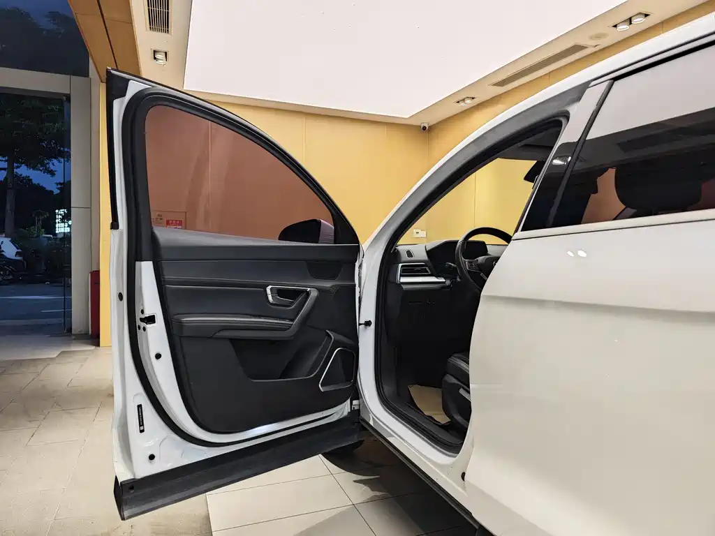 BYD Song Pro Pro 2019 1.5T AT Luxury