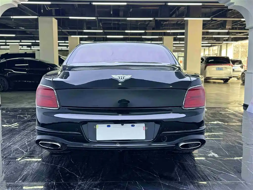 Bentley Flying Spur 6.0T Limited Edition, фото 16