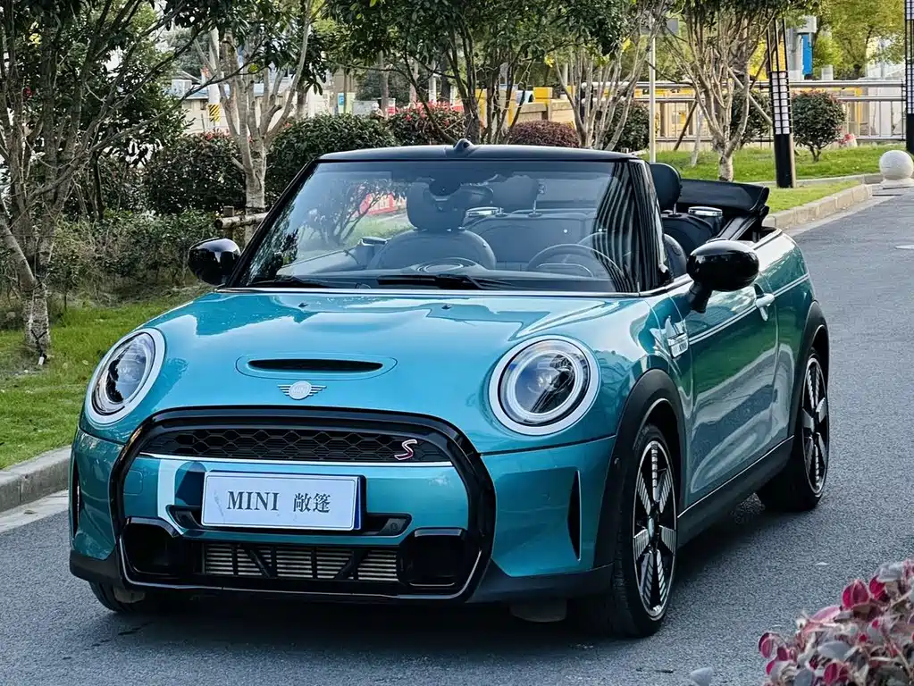 Mini Mini 2023